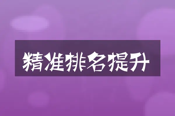 精准排名提升
